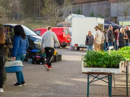 Markt 31.03.2024